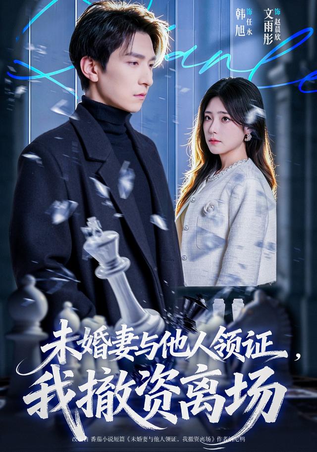未婚妻与他人领证，我撤资离场海报